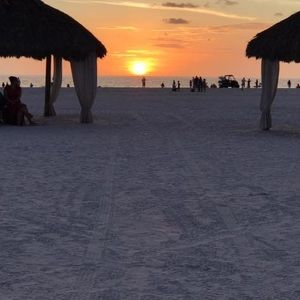 Meet your Posher, Louise